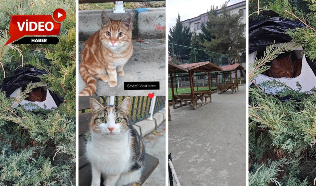 Afyonkarahisar’da yürek ısıtan bir duyarlılık örneği yaşandı. İhbar hattımıza gelen