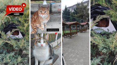 Afyonkarahisar’da yürek ısıtan bir duyarlılık örneği yaşandı. İhbar hattımıza gelen