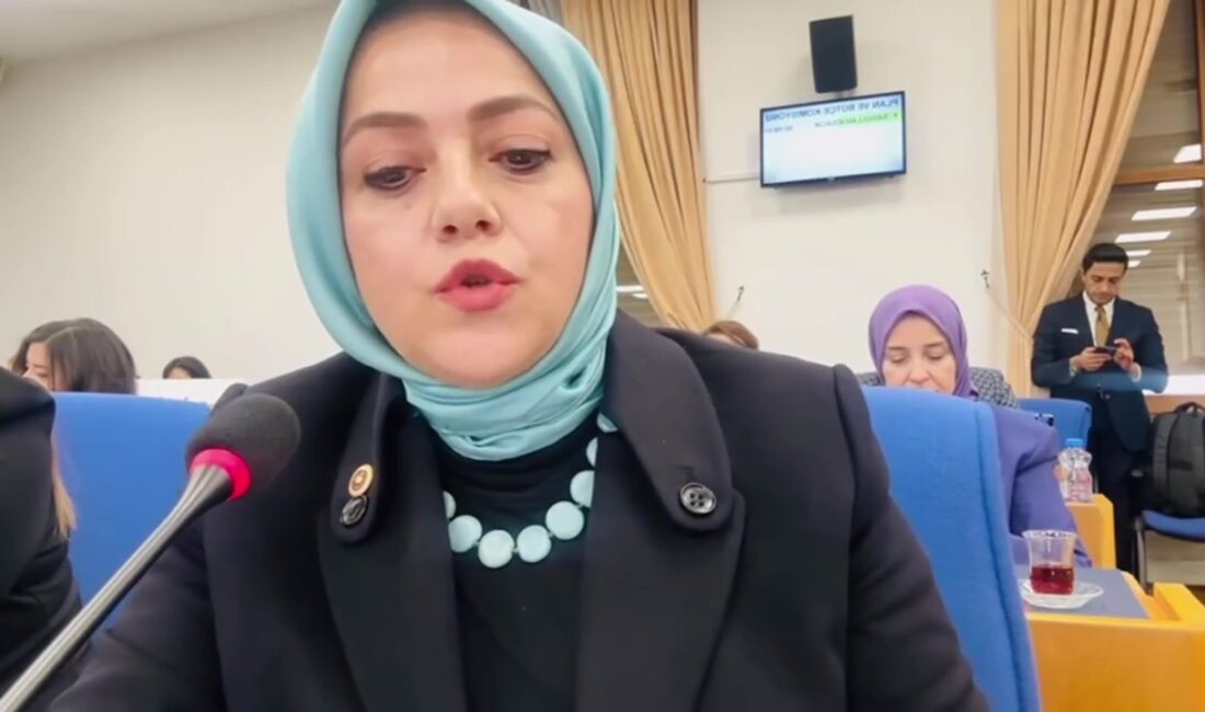 Gelecek Partisi Denizli Milletvekili Sema Silkün Ün, Türkiye Büyük Millet