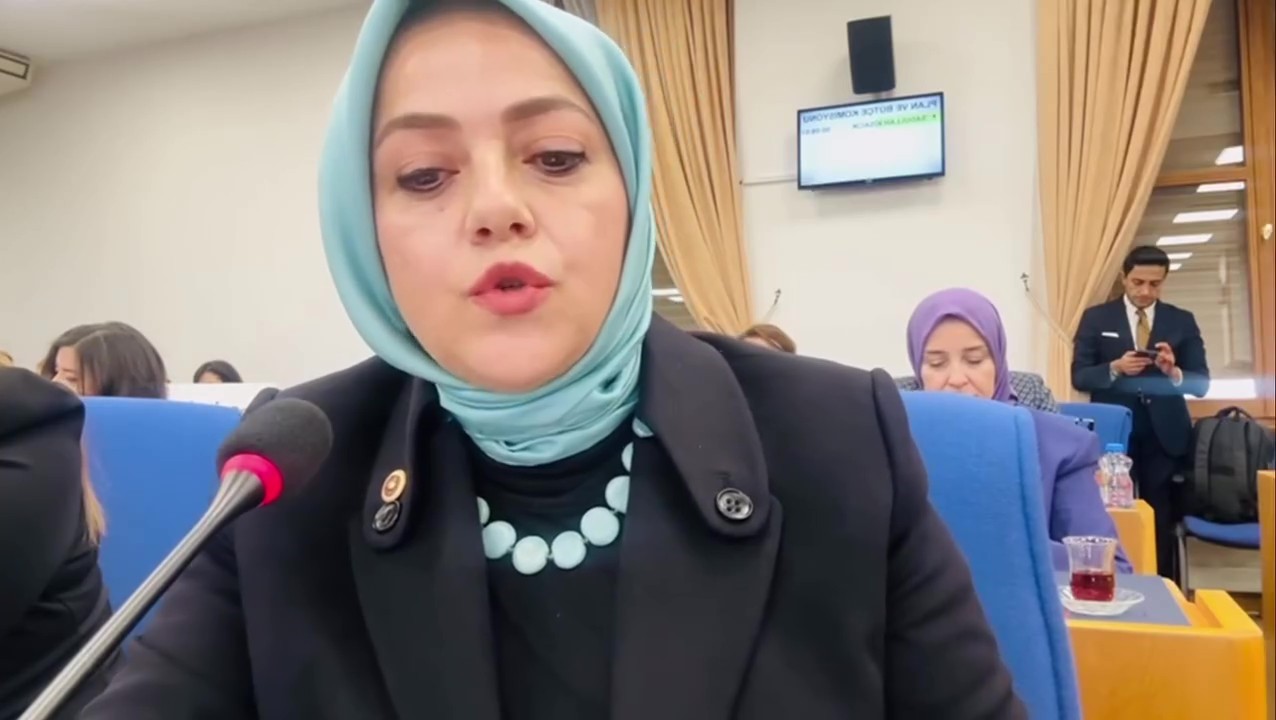 Gelecek Partisi Denizli Milletvekili Sema Silkün Ün, Türkiye Büyük Millet