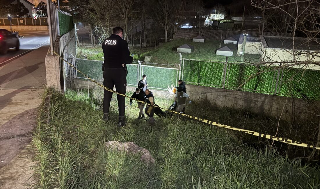 İstanbul’un Eyüpsultan ilçesinde yol kenarındaki boş arazide hareketsiz yatan bir