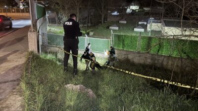 İstanbul’un Eyüpsultan ilçesinde yol kenarındaki boş arazide hareketsiz yatan bir