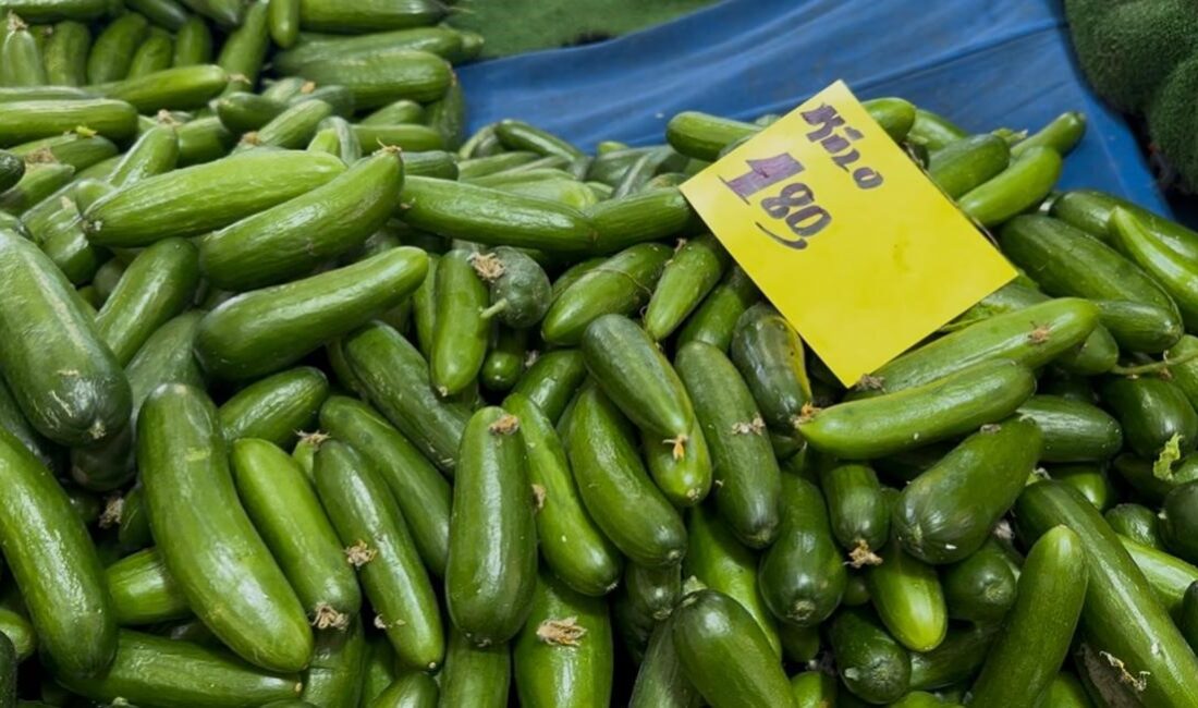 Antalya’daki seraların selden zarar görmesi, ocak ayı sonunda sebze fiyatlarında