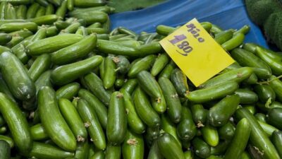 Antalya’daki seraların selden zarar görmesi, ocak ayı sonunda sebze fiyatlarında