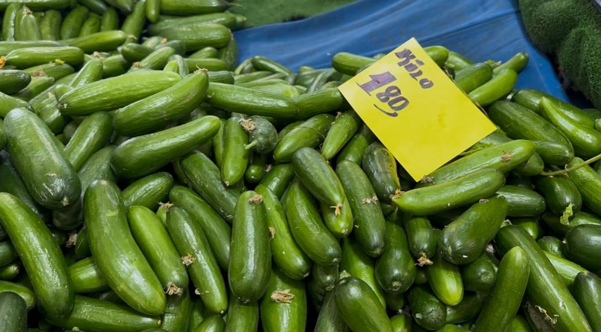 Antalya’daki seraların selden zarar görmesi, ocak ayı sonunda sebze fiyatlarında