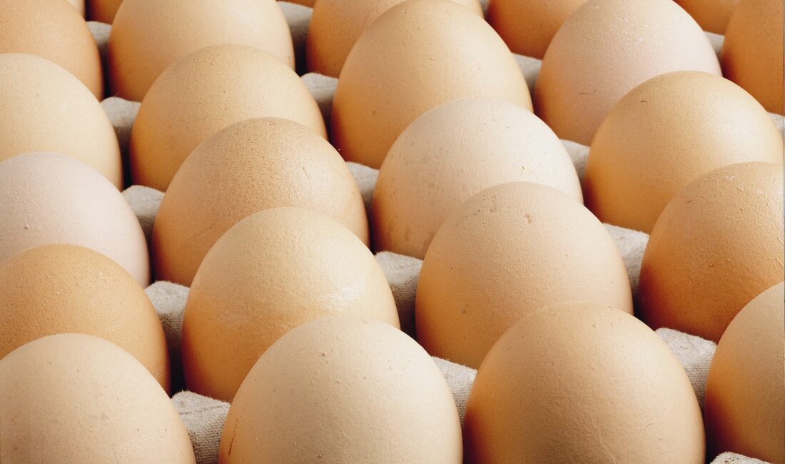 TÜİK tarafından açıklanan son verilere göre Türkiye'nin yumurta üretimi geçtiğimiz