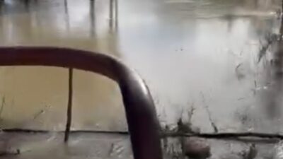 Antalya'nın Serik ilçesinde etkili olan yağışların ardından Köprüçayı Irmağı'nın taşması