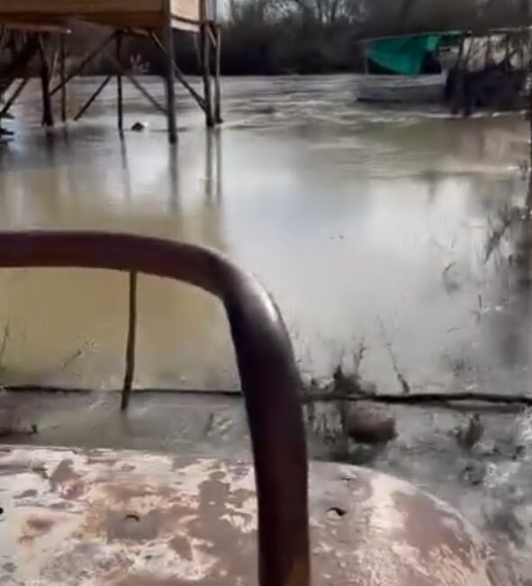 Antalya'nın Serik ilçesinde etkili olan yağışların ardından Köprüçayı Irmağı'nın taşması