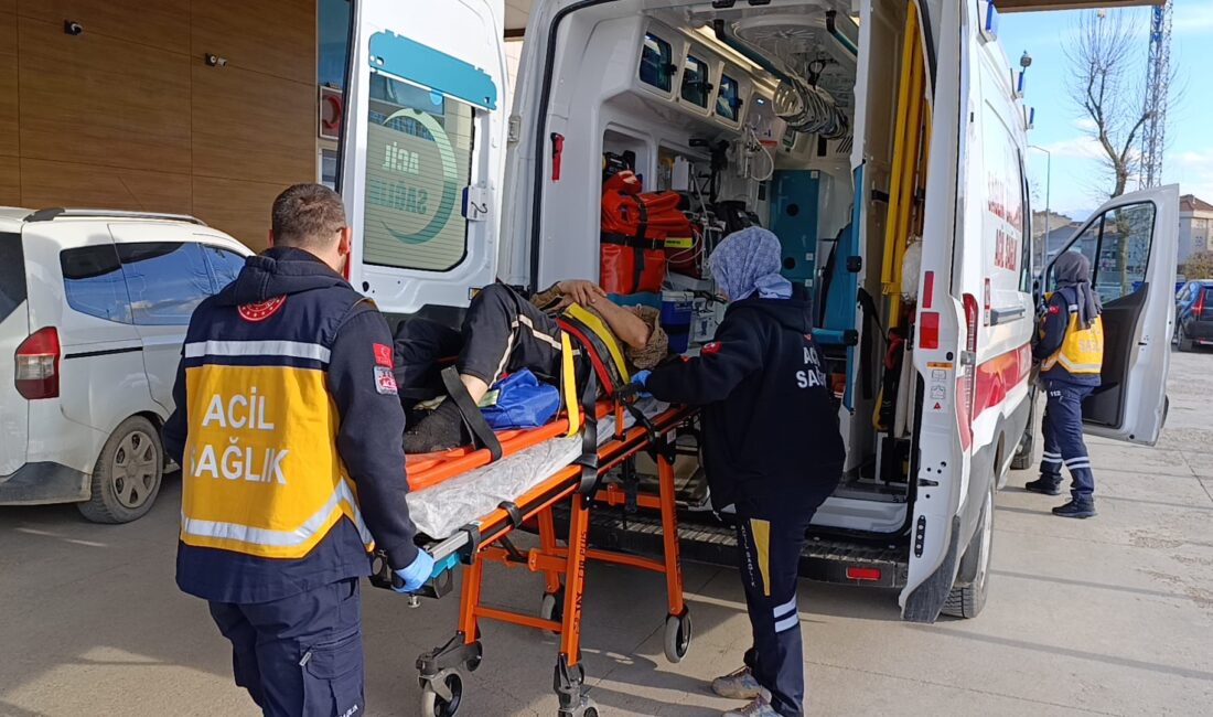 Bursa'nın İnegöl ilçesinde ormanlık alanda bozulan aracına müdahale etmek isteyen