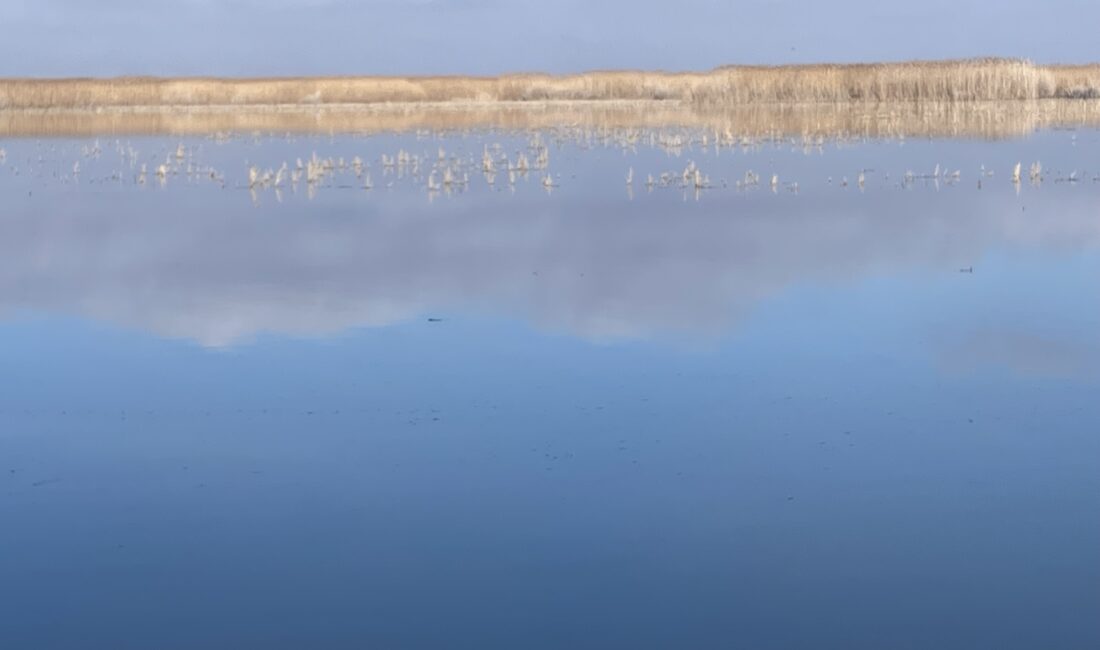 Türkiye'nin en kaliteli kirazının yetiştiği Afyonkarahisar'ın Sultandağı ilçesinde meyve üretiminin adeta