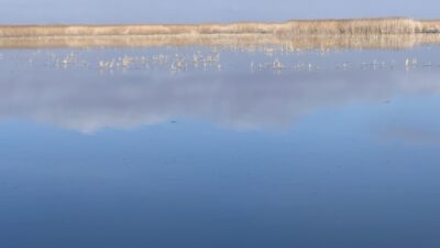  Türkiye'nin en kaliteli kirazının yetiştiği Afyonkarahisar'ın Sultandağı ilçesinde meyve üretiminin adeta