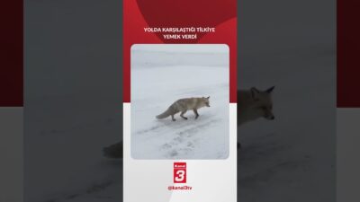 Artvin’in Şavşat ilçesinde, Sahara Geçidi’nde yürek ısıtan bir an yaşandı.