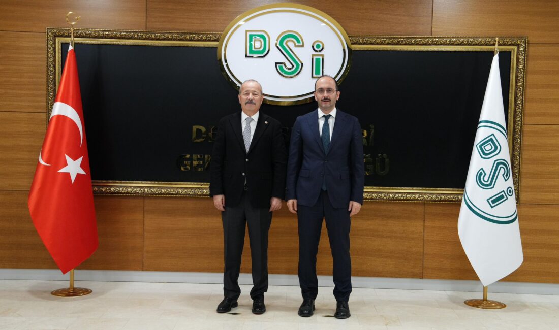 Milliyetçi Hareket Partisi Afyonkarahisar Milletvekili Mehmet Taytak, DSİ Genel Müdürü