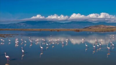 Türkiye'nin en önemli sulak alanları arasında yer alan Büyük Menderes