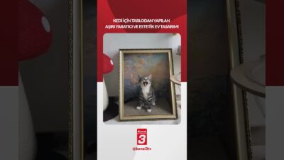 Kedi için tablodan yapılan aşırı yaratıcı ve estetik ev tasarımı