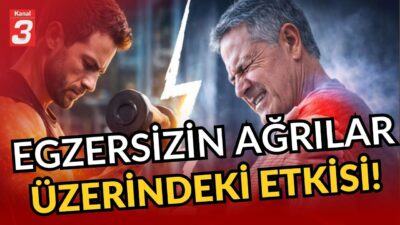 Egzersizin ağrılar üzerindeki etkisi! | Uzm. Fizyoterapist Yegane Kerimzade 📶https://kanal3.com.tr/
