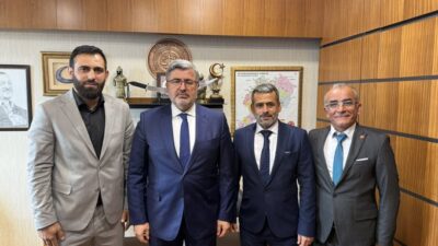 AK Parti Afyonkarahisar Milletvekili Ali Özkaya, Türkiye Büyük Millet Meclisi'ndeki