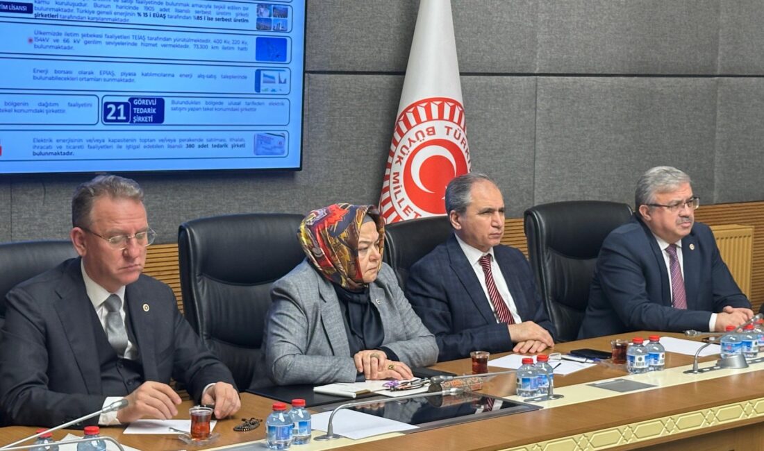 AK Parti Afyonkarahisar Milletvekili İbrahim Yurdunuseven, Türkiye Büyük Millet Meclisi'nde