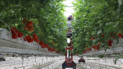 Tarım ve Orman Bakanı İbrahim Yumaklı, "Çiftlik Faaliyetlerinin Çeşitlendirilmesi ve