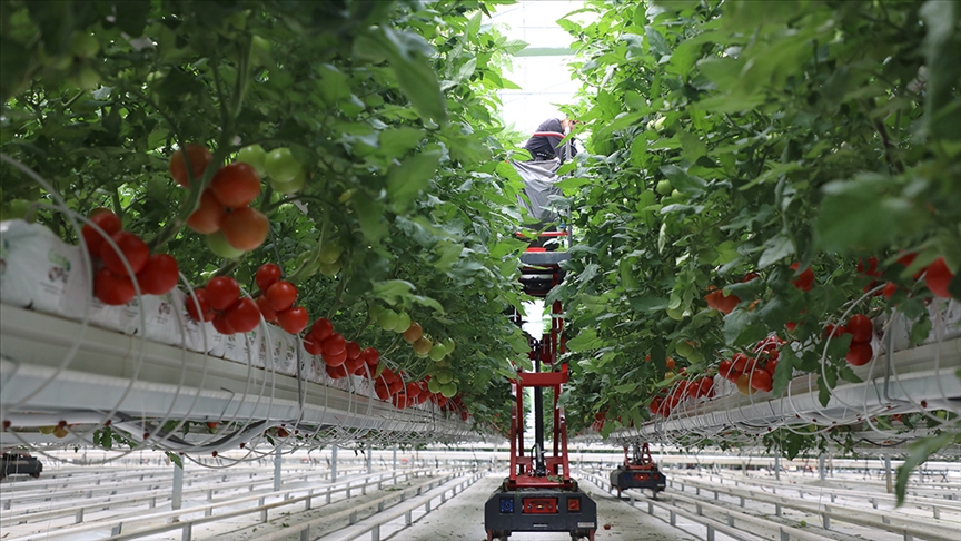 Tarım ve Orman Bakanı İbrahim Yumaklı, "Çiftlik Faaliyetlerinin Çeşitlendirilmesi ve