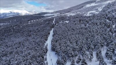 Kar yağışıyla beyaza bürünen Ordu'nun 1200 rakımlı Keyfalan Yaylası, havadan