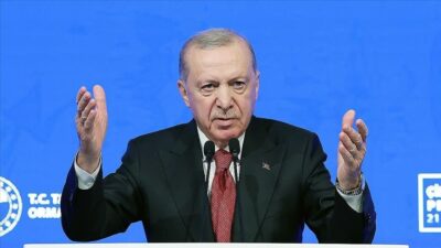 Cumhurbaşkanı Erdoğan, küçükbaş hayvancılığı desteklemek amacıyla yeni bir projeyi devreye