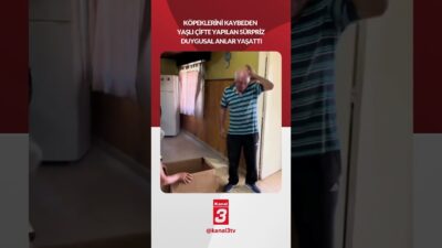 Köpeklerini kaybeden yaşlı çifte yapılan sürpriz duygusal anlar yaşattı! 📶https://kanal3.com.tr/