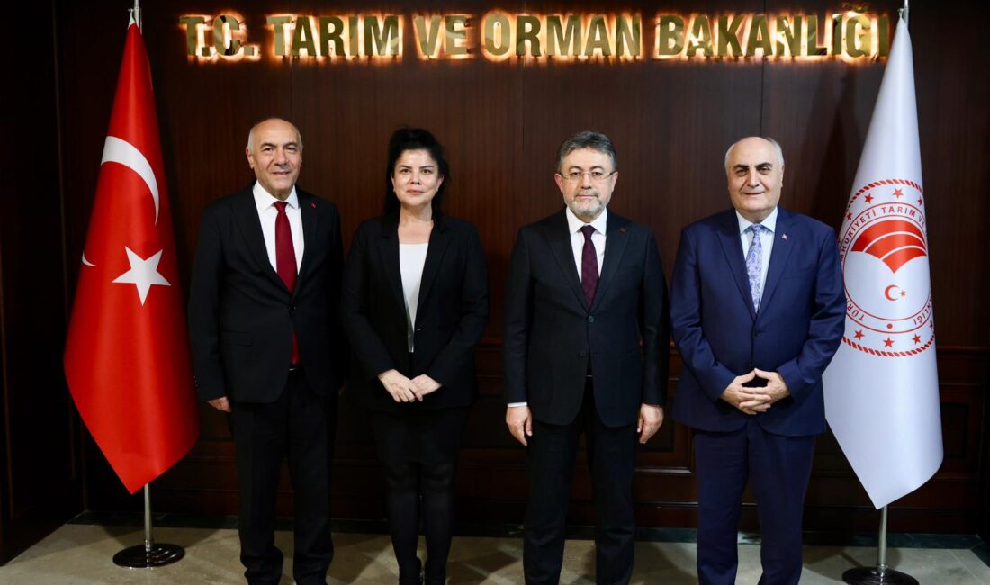 Kanal 3 Genel Müdürü Selcen Dilek Çöygün, BRTV Yönetim Kurulu