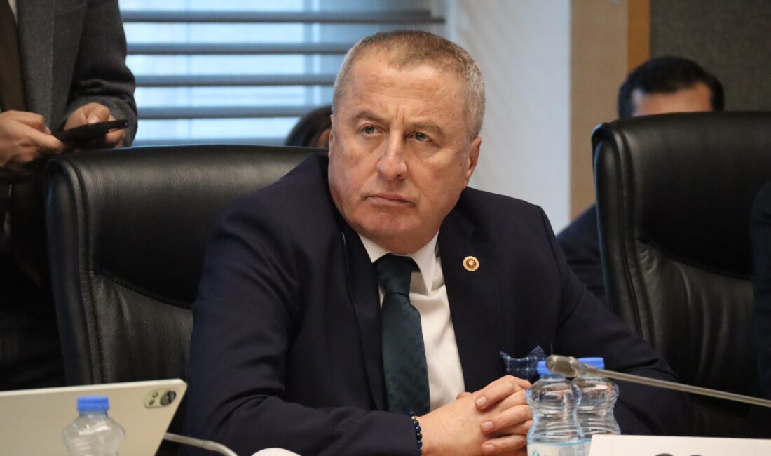 İYİ Parti Genel Başkan Yardımcısı ve Afyonkarahisar Milletvekili Hakan Şeref