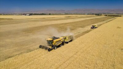 Tarım ve Kırsal Kalkınmayı Destekleme Kurumunca (TKDK), Kahramanmaraş merkezli depremlerin
