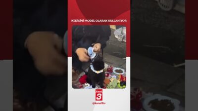 Kendi yaptığı kedi aksesuarlarını satan kadın kendi kedisini model olarak