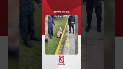 Bolu İl Jandarma Komutanlığı bünyesinde uzun yıllar görev yapan iz