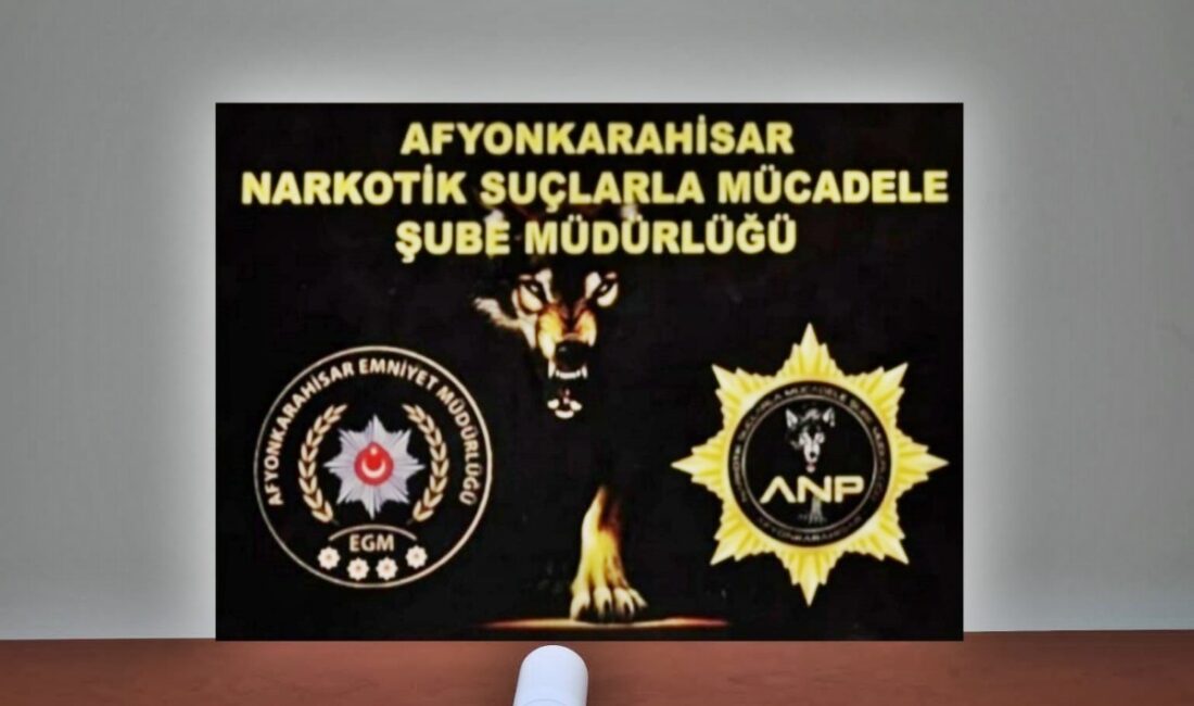 Afyonkarahisar’ın Emirdağ ilçesinde emniyet güçlerinin huzur ve güvenliği sağlamaya yönelik