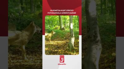 Doğa Koruma ve Milli Parklar (DKMP) 2’nci Bölge Müdürlüğü ekiplerinin