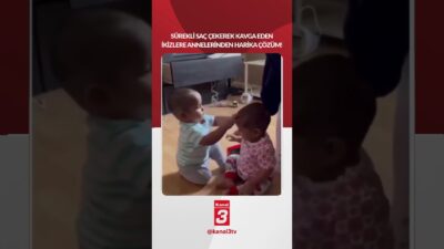 Sürekli birbirinin saçını çekerek kavga eden ikizlere annelerinden harika çözüm!