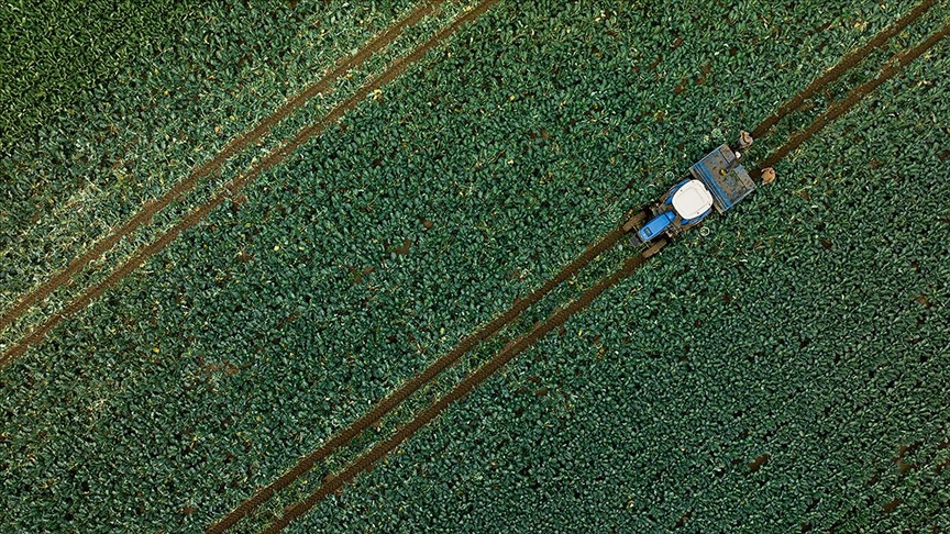 Türkiye genelinde ocakta yağışların hem miktar hem de süreklilik açısından