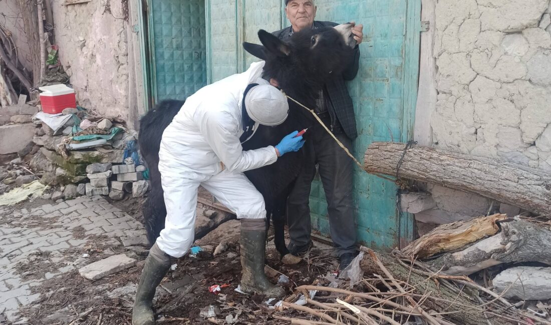 Afyonkarahisar İl Tarım ve Orman Müdürlüğü, bölgedeki hayvan sağlığını korumak