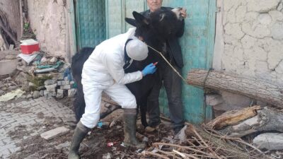 Afyonkarahisar İl Tarım ve Orman Müdürlüğü, bölgedeki hayvan sağlığını korumak