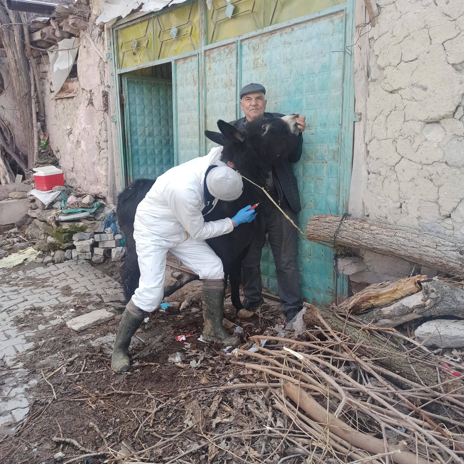 Afyonkarahisar İl Tarım ve Orman Müdürlüğü, bölgedeki hayvan sağlığını korumak