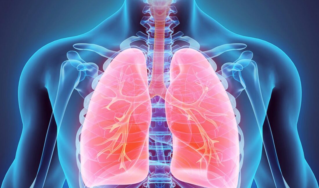 Beslenme ve Diyet Uzmanı Hande Güngör, insan vücudunun yiyecekleri bir