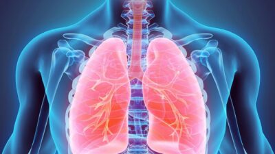 Beslenme ve Diyet Uzmanı Hande Güngör, insan vücudunun yiyecekleri bir