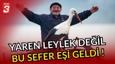 Leylek Yaren’den önce eşi geldi! | Herkes Leylek Yaren’i bekliyor…