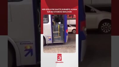 Her gün aynı yerde aynı saatte bekleyen köpek otobüs şoföründen