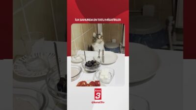 Geceye yalnız başlamadılar | Sahur sofrasına en tatlı misafirler uykulu