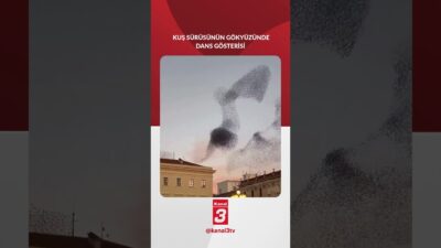 Kuş sürüsü gökyüzünde adeta dans etti! 📶https://kanal3.com.tr/ Sosyal Medya Hesaplarımızı