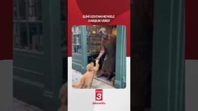 Sokakta duran heykelin el uzattığını gören köpek aynı şekilde karşılık
