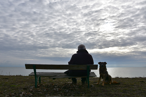 Yaşlı bir adam ile yıllardır yanında olan köpeğinin görüntüleri izleyenleri
