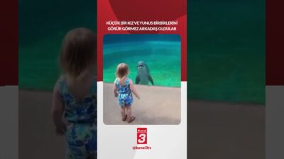 Küçük kız ile yunus birbirlerini görür görmez arkadaş oldular! 📶https://kanal3.com.tr/