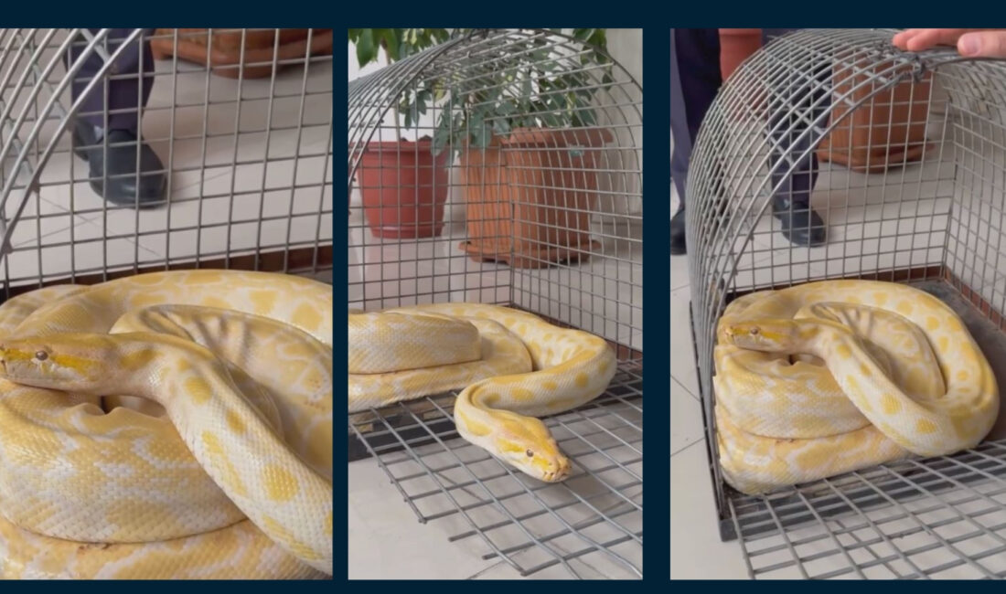 Doğa Koruma ve Milli Parklar Genel Müdürlüğü ekipleri, geçtiğimiz günlerde