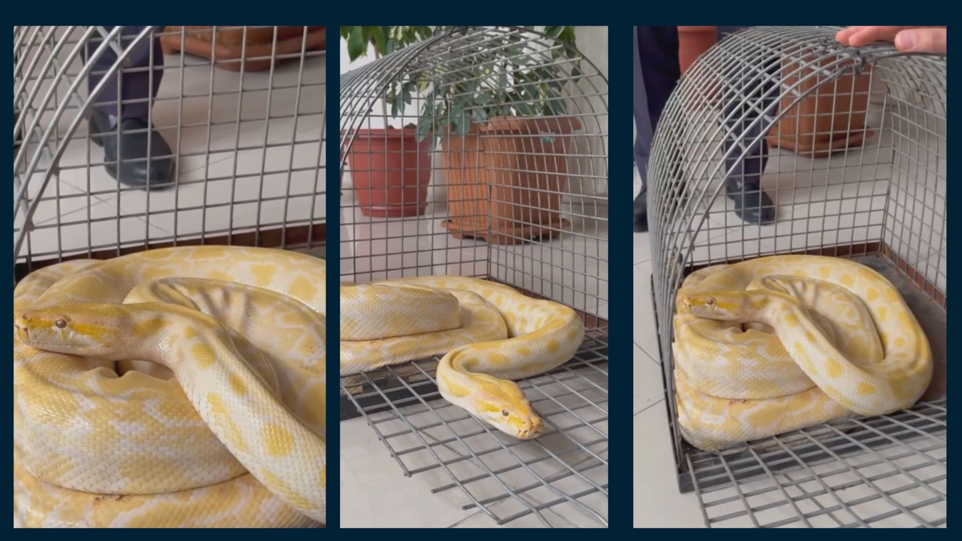 Doğa Koruma ve Milli Parklar Genel Müdürlüğü ekipleri, geçtiğimiz günlerde